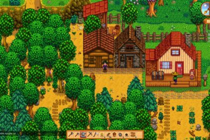 Coop Stardew Valley