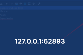 127.0.0.1:62893