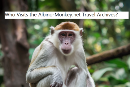 albino-monkey.net travel archives