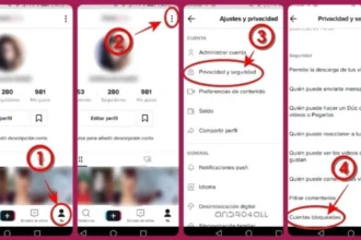 https://bajartiktoks.com/como-bloquear-usuarios-en-tiktok-y-eliminar-seguidores/