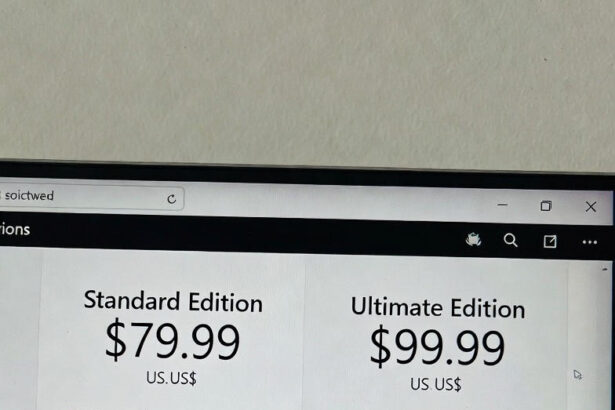Corel PaintShop Pro 2025 Price Comparison: Standard vs. Ultimate Edition