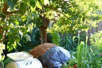 A person holding rich, dark, odor-free compost next to a tidy outdoor compost bin with green plants in the background.