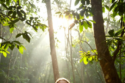 Timeless Wellness: How Ancient Rituals Inspire Modern Holistic Health